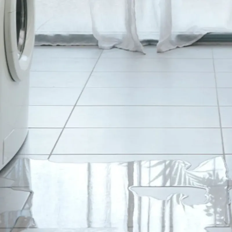 Appliance Leak Cleanup in Winder, GA