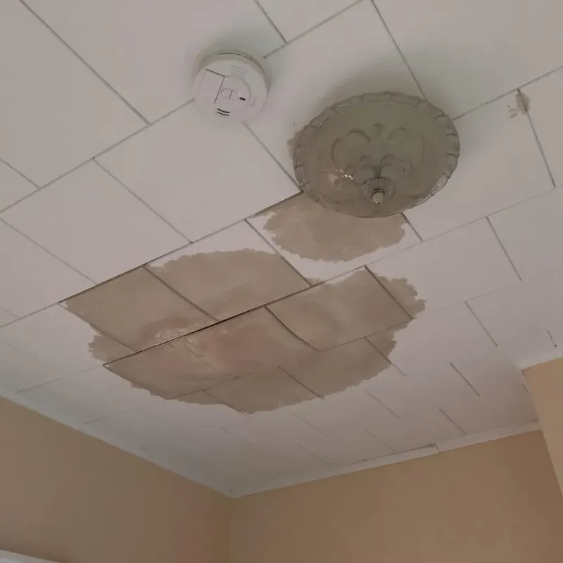 Ceiling Water Damage Repair in Winder, GA